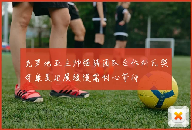 克罗地亚主帅强调团队合作科瓦契奇康复进展缓慢需耐心等待