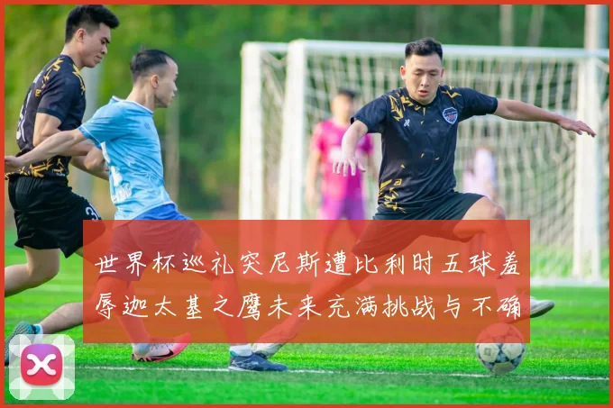 世界杯巡礼突尼斯遭比利时五球羞辱迦太基之鹰未来充满挑战与不确定性