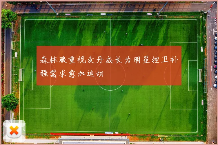 森林狼重视麦丹成长为明星控卫补强需求愈加迫切