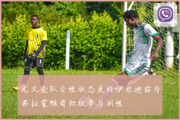 尤文全队合练状态良好伊尔迪兹与弗拉霍维奇积极参与训练